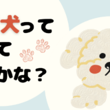 保護犬って知っているかな？