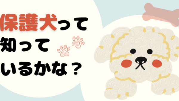 保護犬って知っているかな？