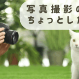 写真撮影のちょっとした工夫