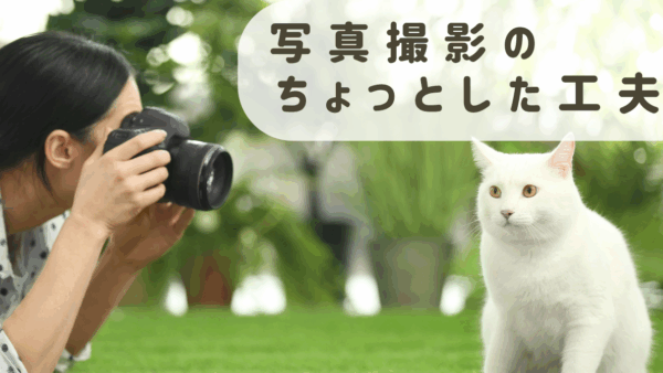 写真撮影のちょっとした工夫